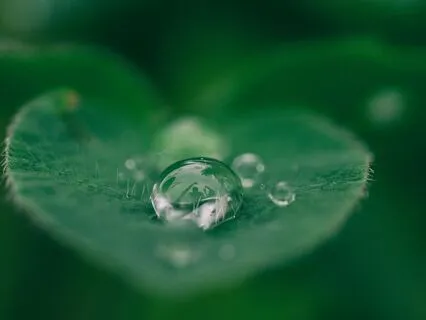 Mindful Attention. Mindful Intention.