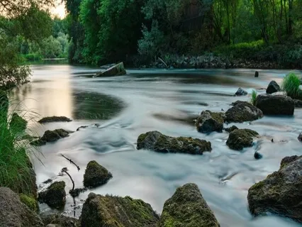 Mindful Awareness Guided Meditation