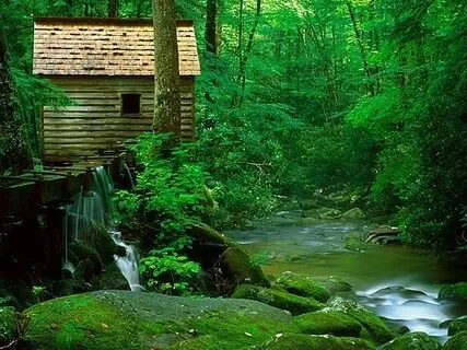 Mindful Awareness Of Senses