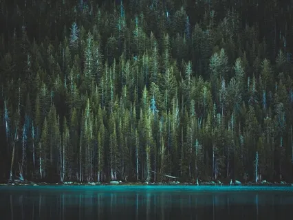 Mindful Body And Mind Alignment