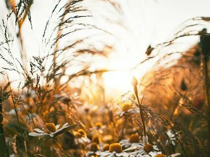 Mindful Boundary Setting