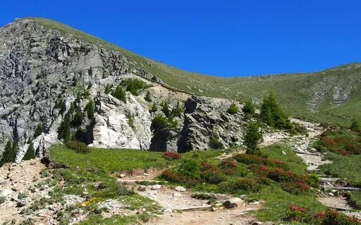 Mindful Break For Relaxation And Gratitude