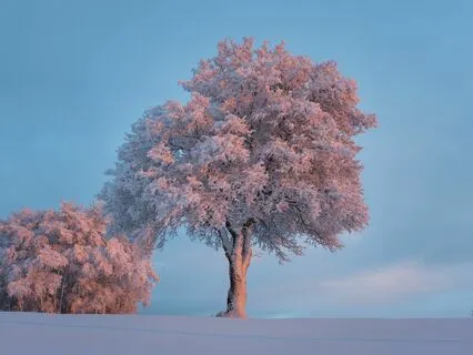 Mindful Breaks: Pausing For Inner Peace