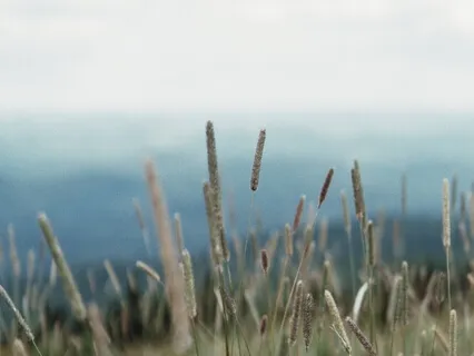 Mindful Breath Based Meditation For Beginners