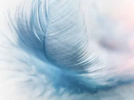 Mindful Breath Meditation