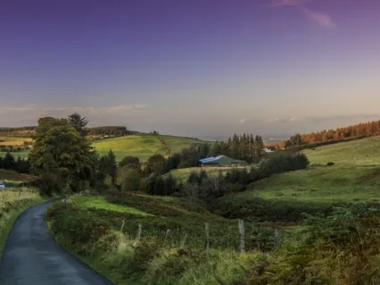 Mindful Breath Practice