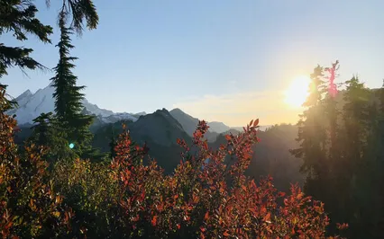 Mindful Breathing & Body Scan Meditation