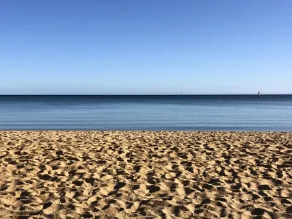 Mindful Breathing Break