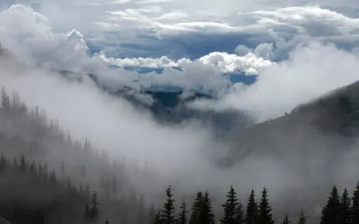 Mindful Breathing Guided Meditation