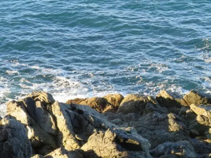 Mindful Breathing Meditation