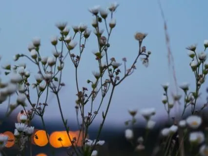 Mindful Breathing Meditation | Find Calm & Presence