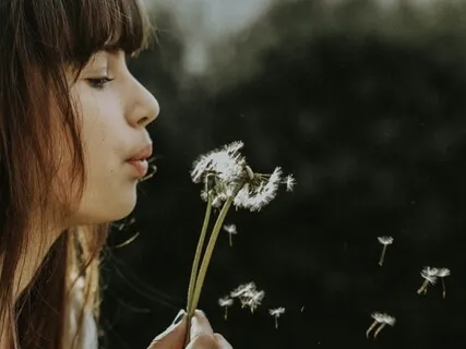 Mindful Breathing Meditation For Beginners