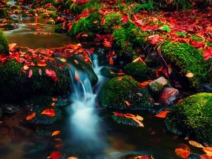 Mindful Breathing Meditation