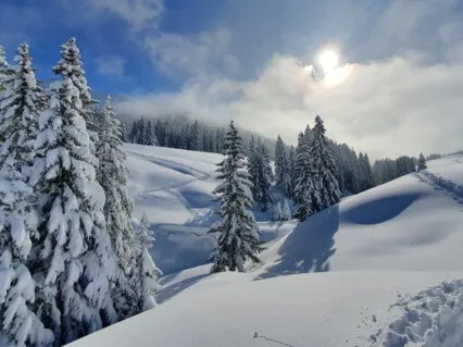 Mindful Breathing Practice