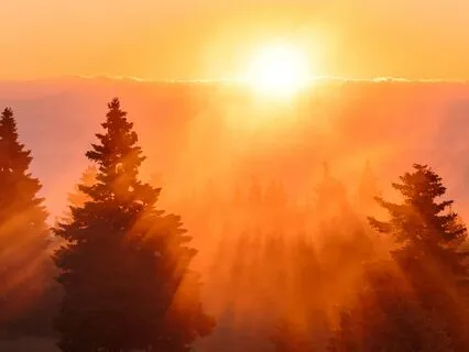 Mindful Breathing Practice For When You Want To Slow Down