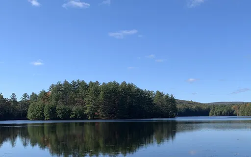 Mindful Breathing: Pranayama For Tranquil Focus