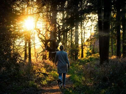 Mindful Breathing Space