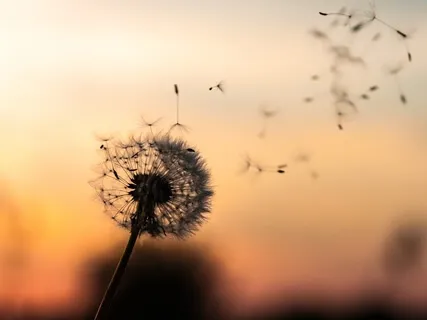 Mindful Breathing With Affirmations