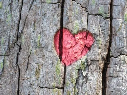 Mindful Breathing With Emotional Awareness