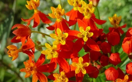 Mindful Breathwork: A Quick Guided Meditation