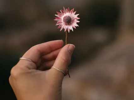 Mindful Check-In For Self-Awareness