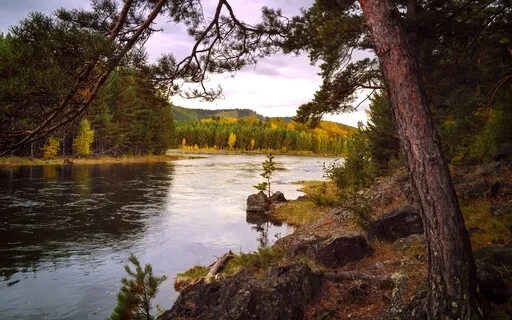 Mindful Check-In With Yourself - Meditation 37