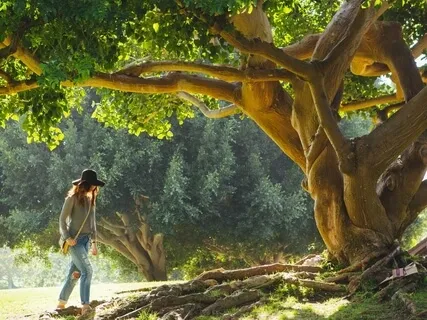 Mindful Children's Music: My Root's Grow Deep