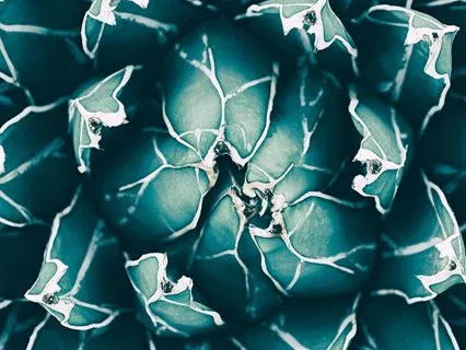 Mindful Clarity: 432 Hz Soundscape For Mental Focus