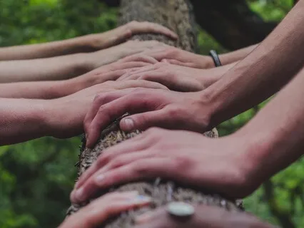 Mindful Collaboration