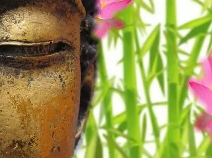 Mindful Communication: How To Find Your Voice, Speak Your Truth And Listen Deeply