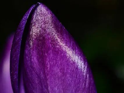 Mindful Compassion Meditation