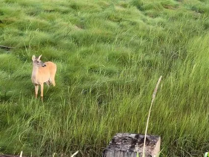 Mindful, Curious And Gentle