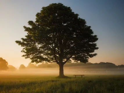 Mindful Deep Breathing For Anxiety & Stress