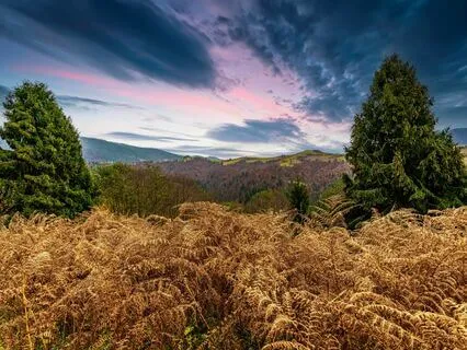 Mindful Ease: Relax And Let Go