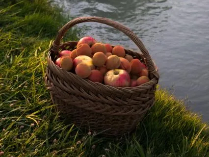 Mindful Eating Affirmations With Breathing Practice