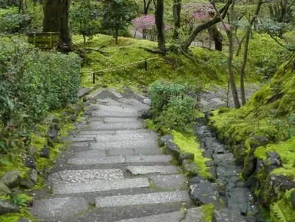 Mindful Eating: Forgiveness For The Body