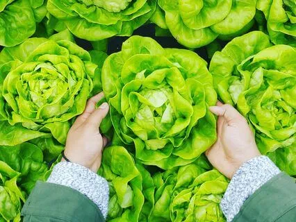 Mindful Eating Meditation