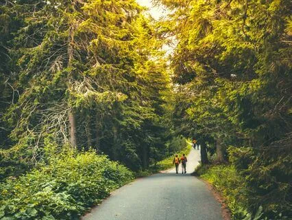 Mindful Escape: Let Go of Stress