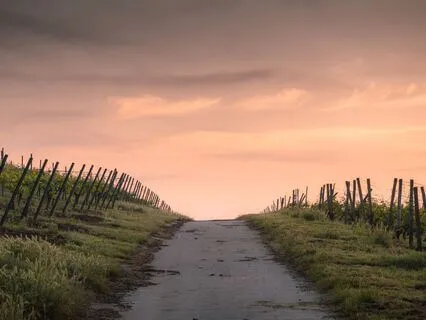 Mindful Evening Rest - Stress Relief