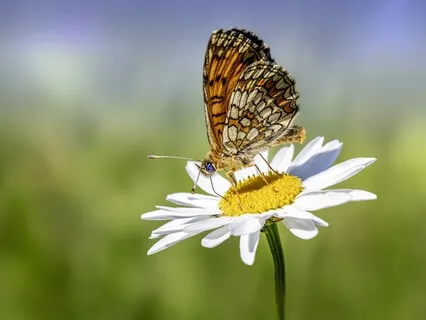 Mindful Exercise: Explore The Power Of A Joy Calendar