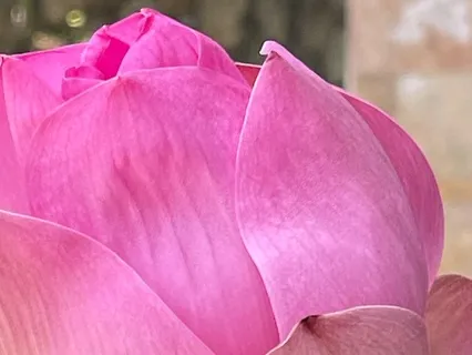 Mindful Exhale Counting Meditation