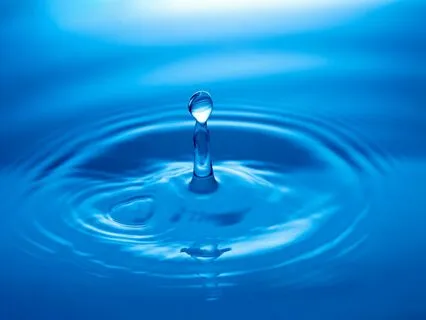 Mindful Exploration Of Discipline