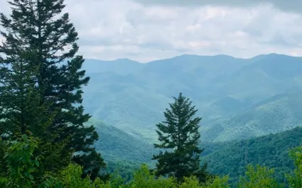 Mindful Focus Meditation