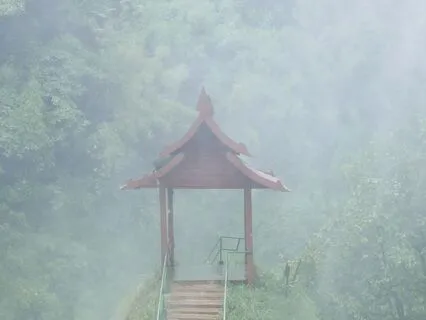 Mindful Garden Journey