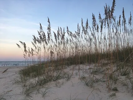 Mindful Gratitude Meditation