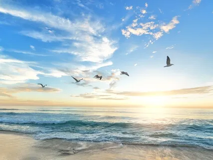 Mindful Gratitude To Attract Anything You Want