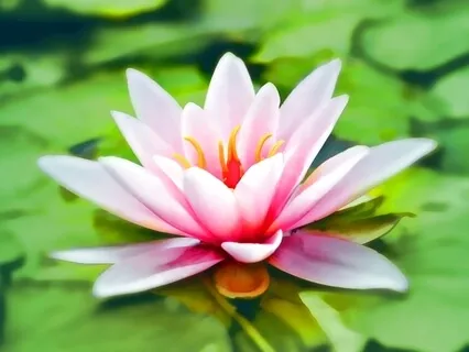 Mindful Growth 03: Presence and Open Awareness Meditation