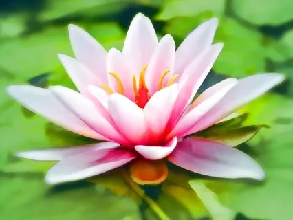 Mindful Growth 15: Happiness From Within