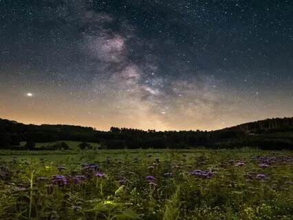 Mindful Heavenly Healing Music