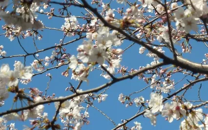 Mindful Intimacy Pt 1: Noticing & The Power Of Pause